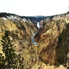 Grand Canyon of the Yellowstone with Lower Falls