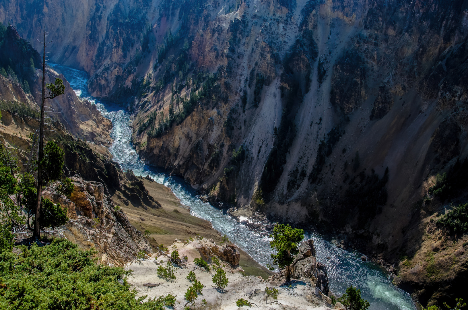 ...grand canyon of yellowstone