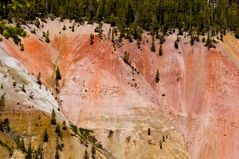 Grand Canyon of Yellowstone (II)