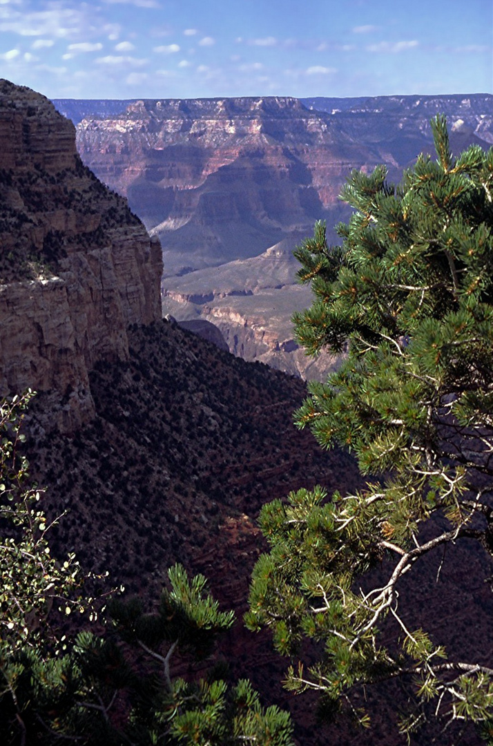 GRAND CANYON OPUS 13