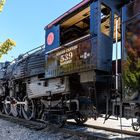 Grand Canyon Railway Nr. 539 (4) - City of Williams, Arizona