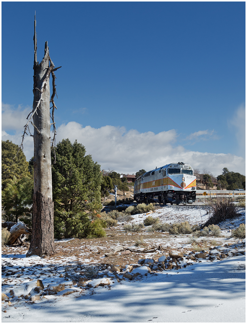 Grand Canyon Railway VII