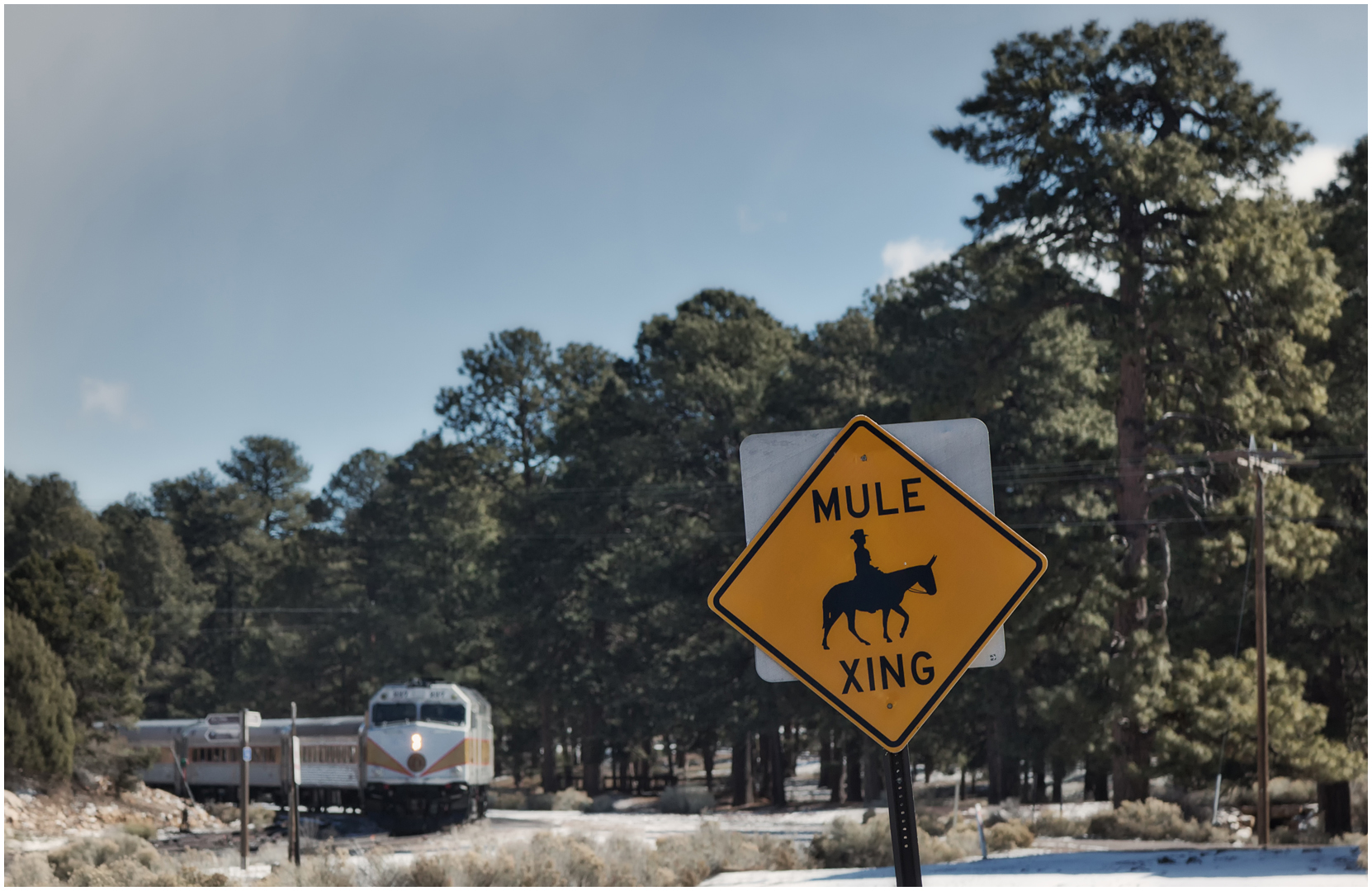 Grand Canyon Railway VIII