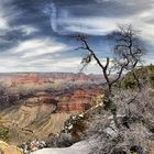 Grand Canyon road to nowhere