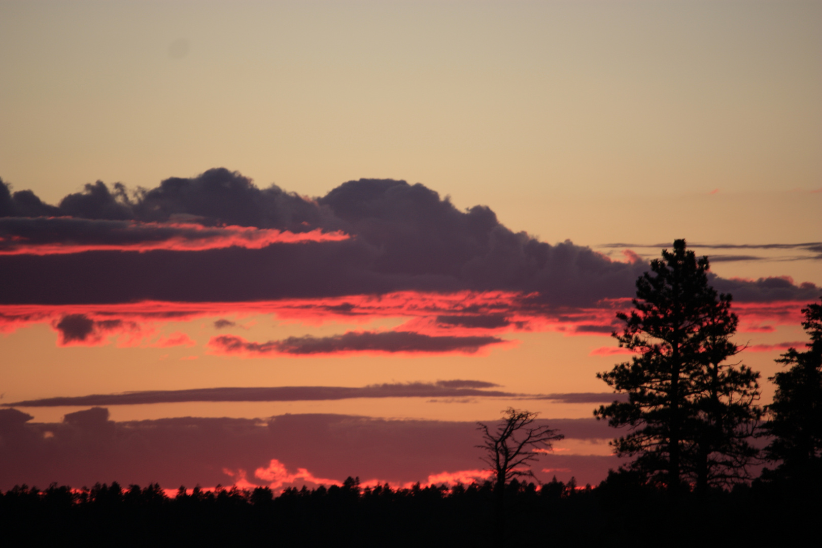 Grand Canyon Sky Fire, North Rim