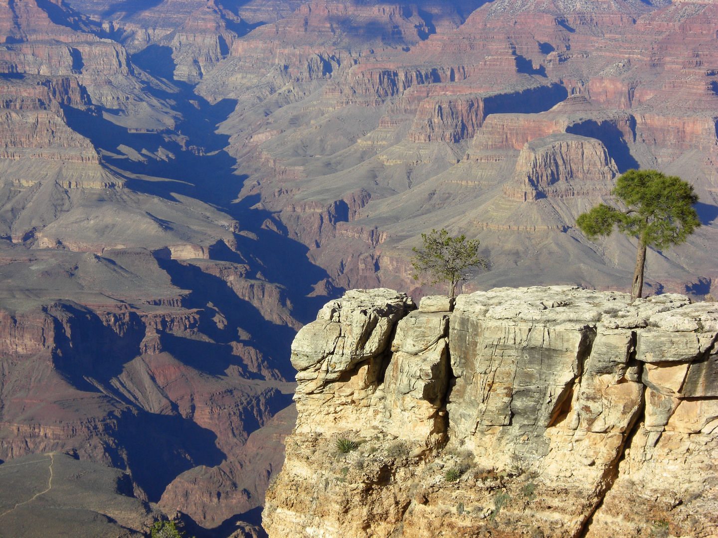 Grand Canyon South Rim