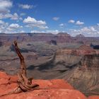 Grand Canyon South Rim