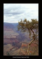 Grand Canyon South Rim