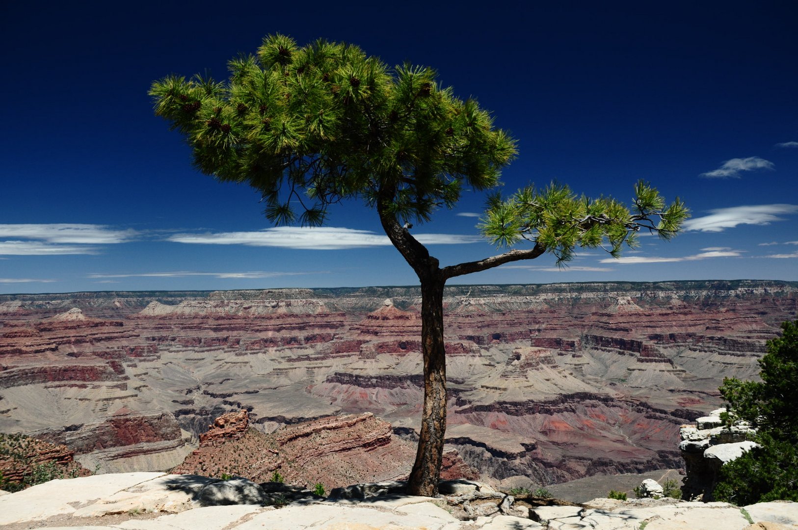 Grand Canyon, South Rim