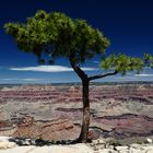 Grand Canyon, South Rim