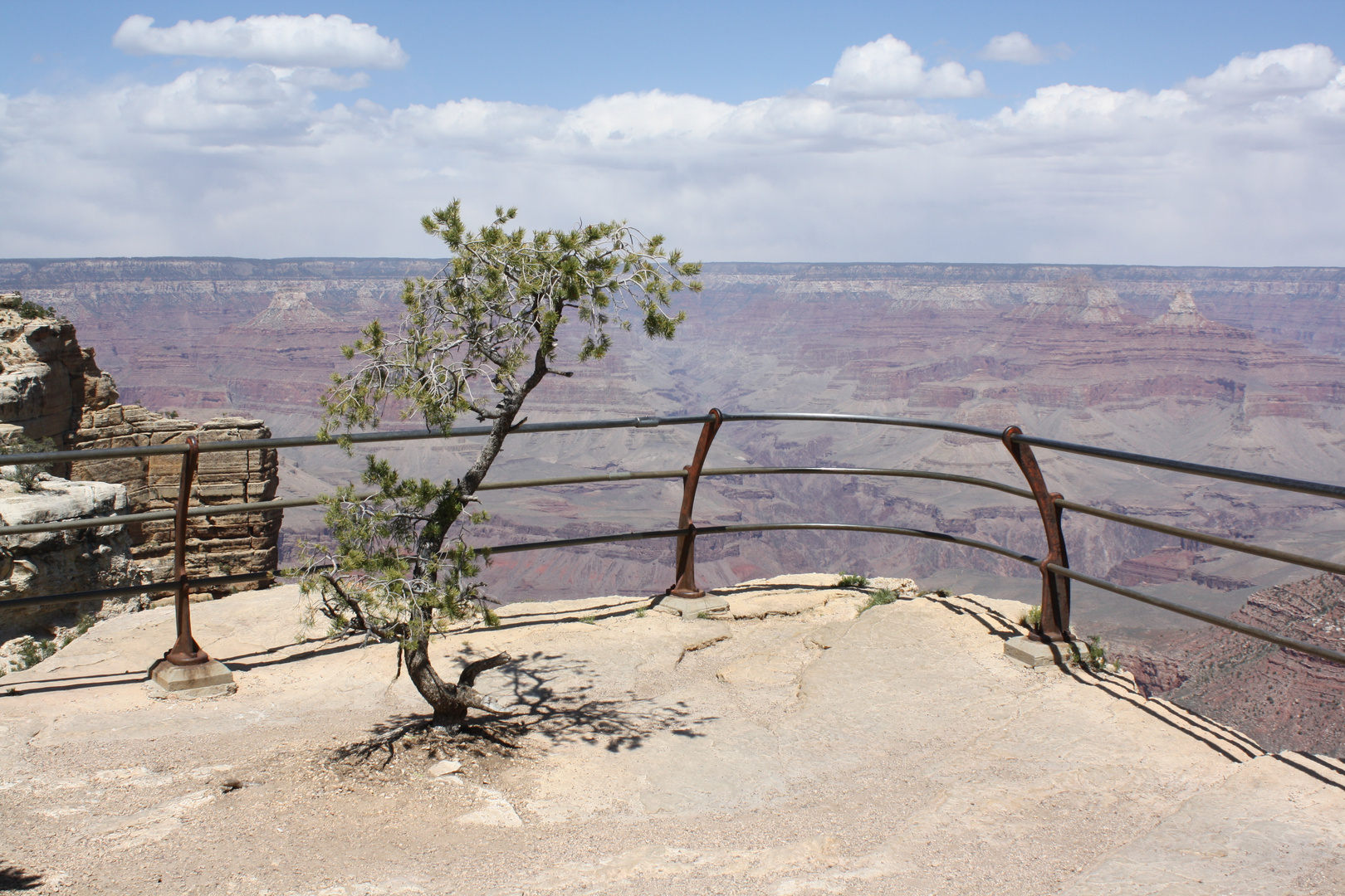 Grand Canyon ( South Rim )