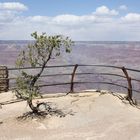 Grand Canyon ( South Rim )