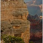 Grand Canyon South Rim - Arizona - USA