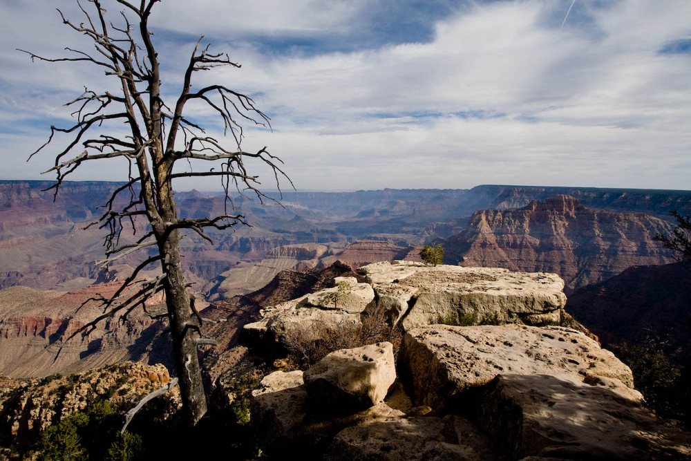 Grand Canyon, South Rim