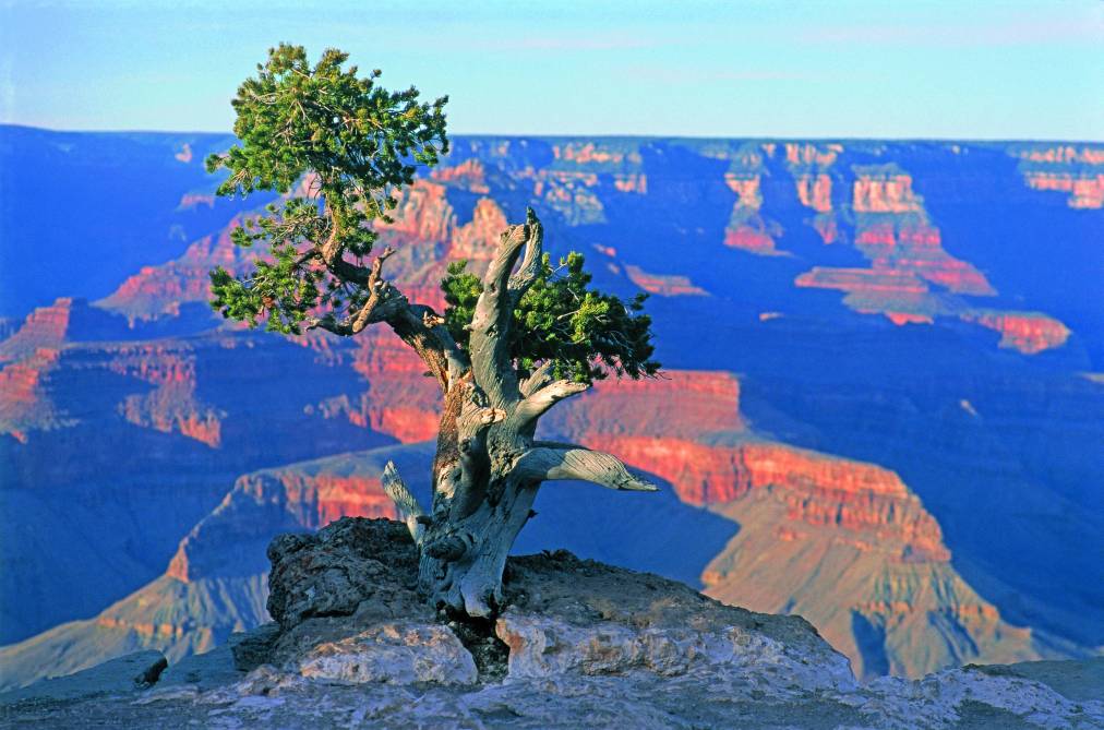 Grand Canyon South Rim