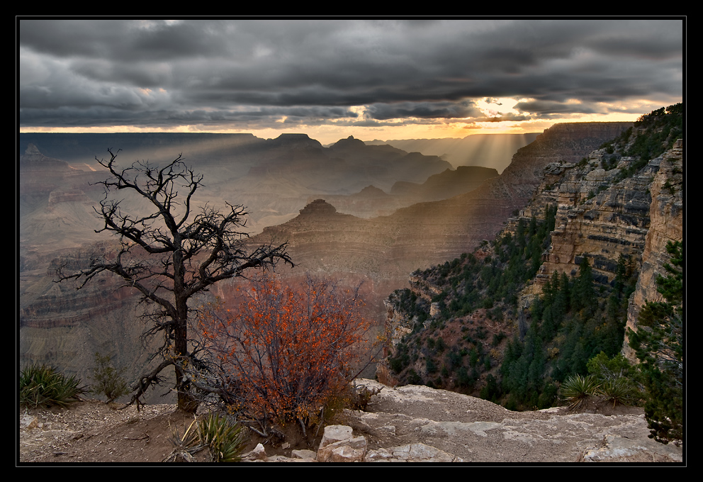 Grand Canyon Sunrise