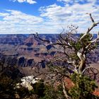 Grand Canyon, USA