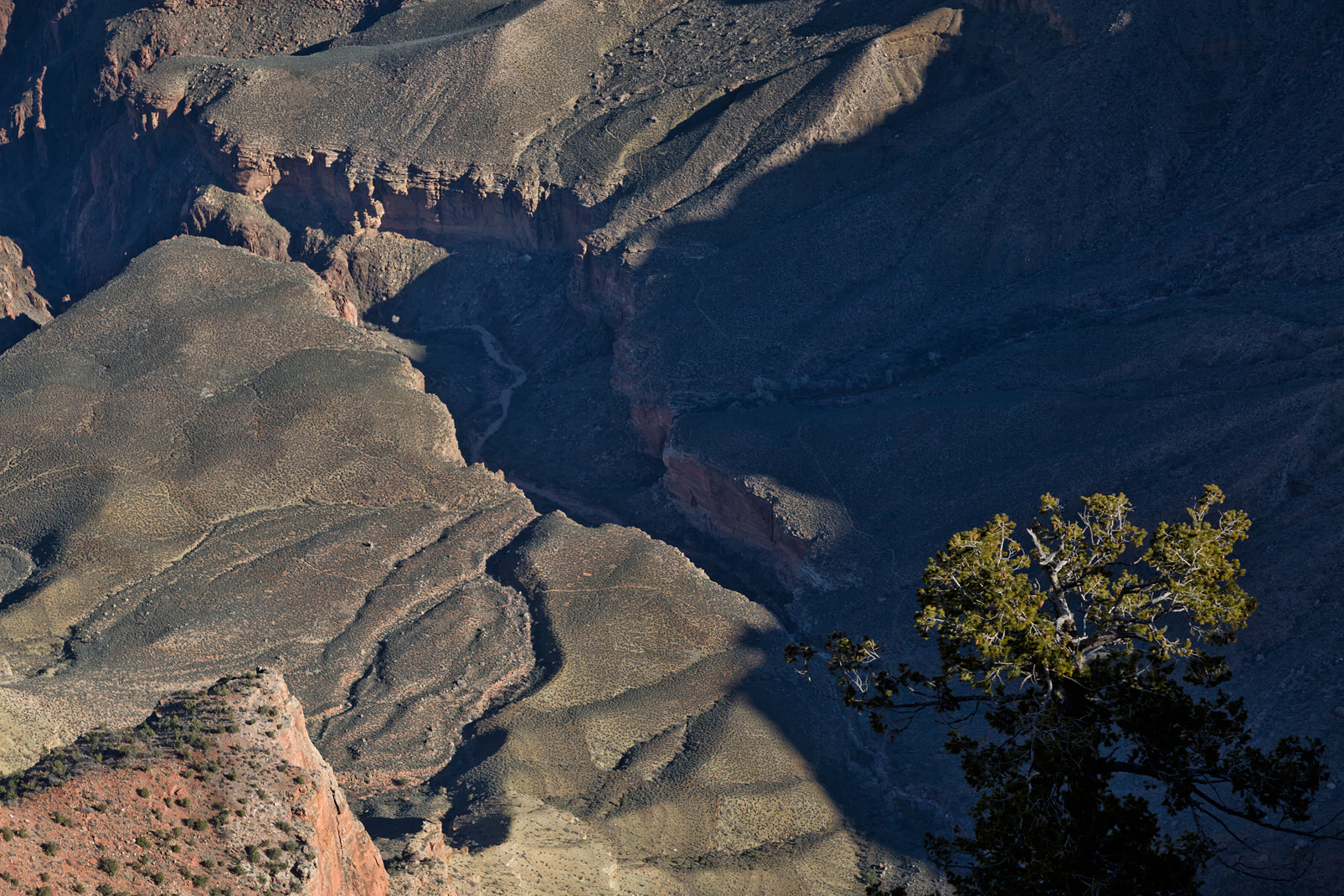 Grand Canyon VI