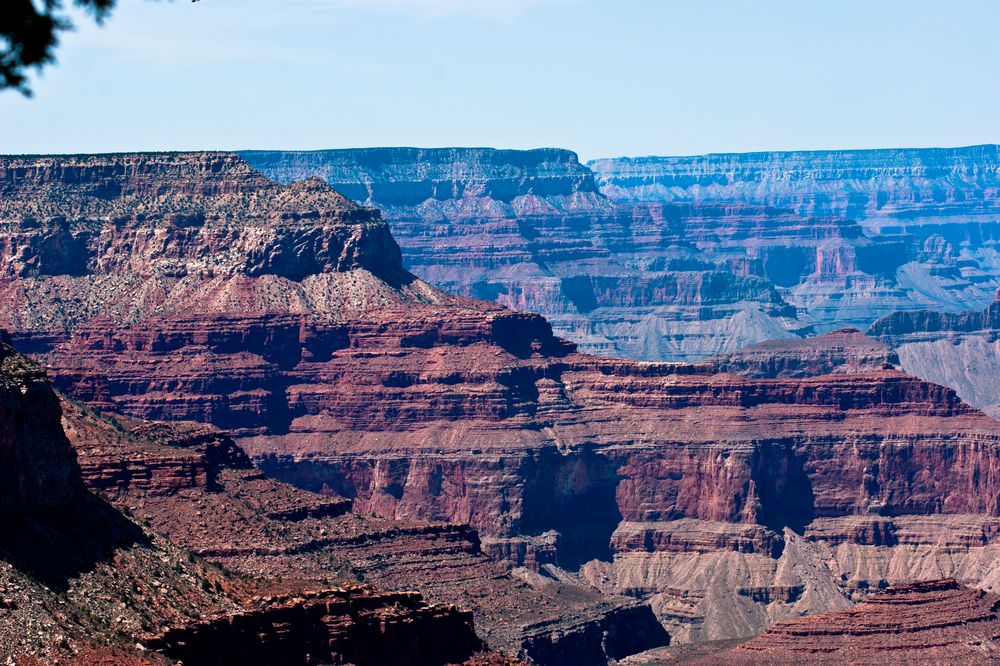 Grand Canyon View