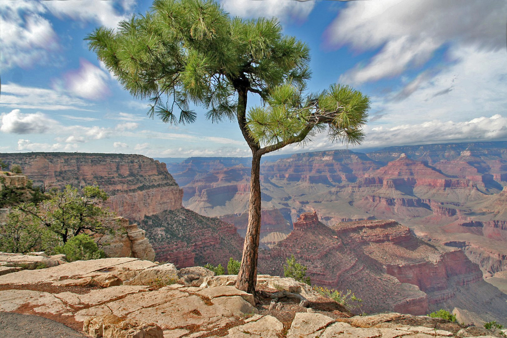 Grand (Canyon) View