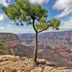 Grand (Canyon) View