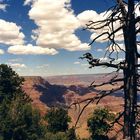 Grand Canyon View