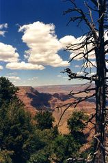 Grand Canyon View