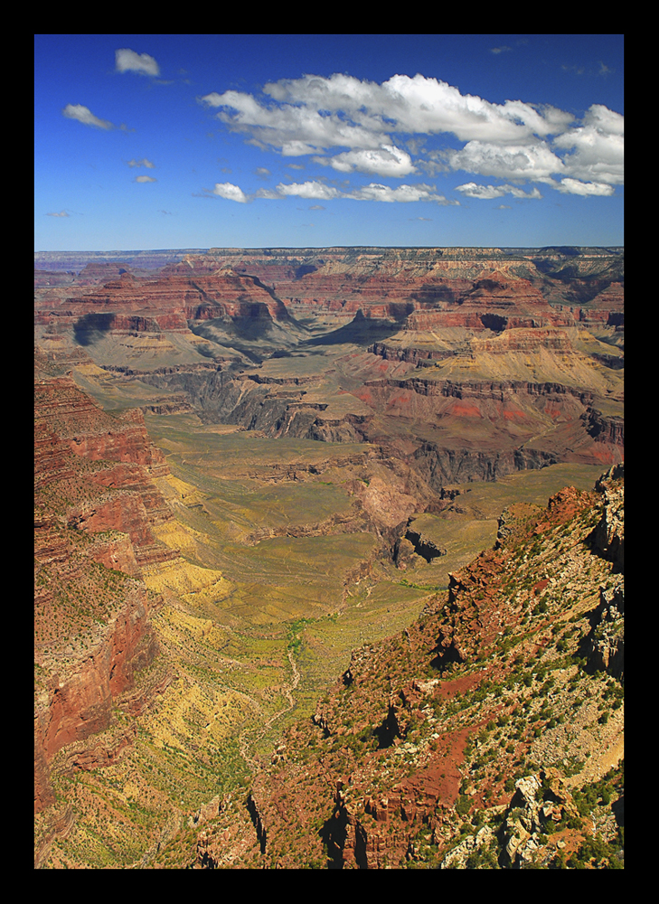 Grand Canyon View