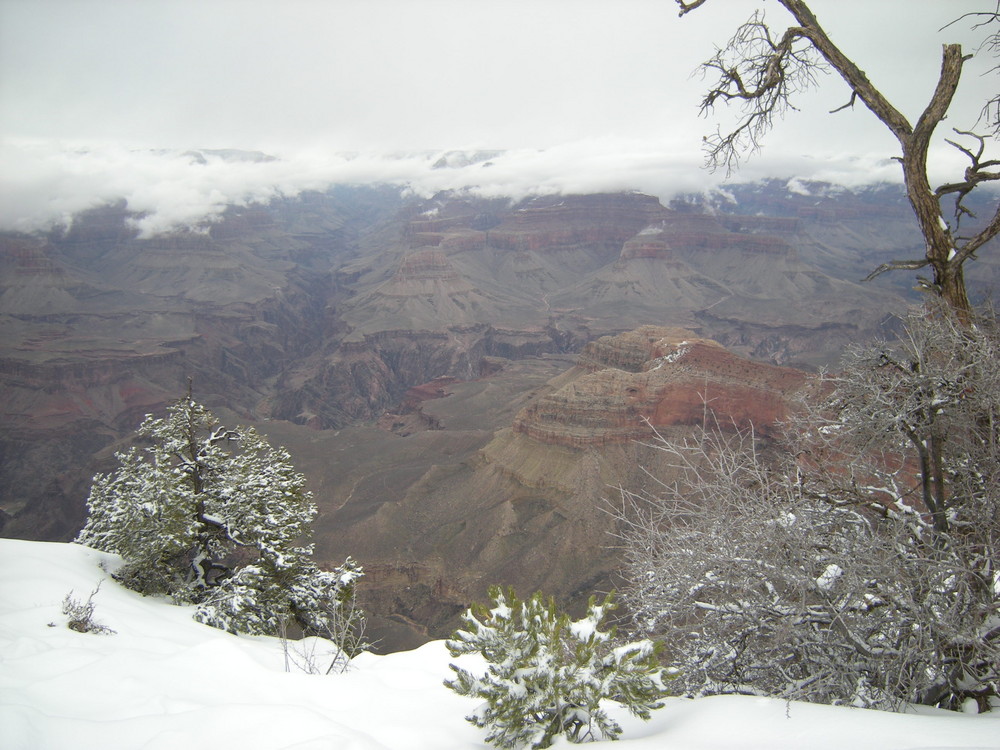 Grand Canyon (winterlich 2)