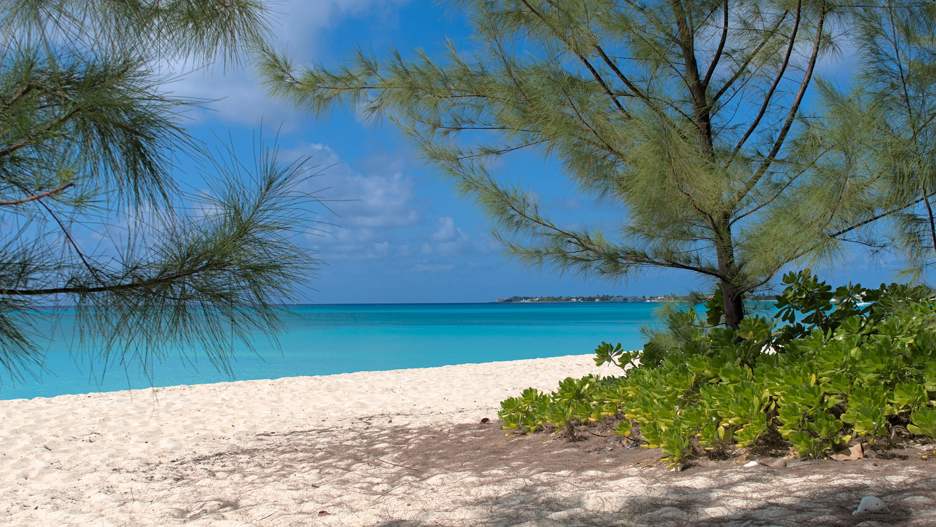 Grand Cayman Beach