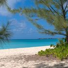 Grand Cayman Beach