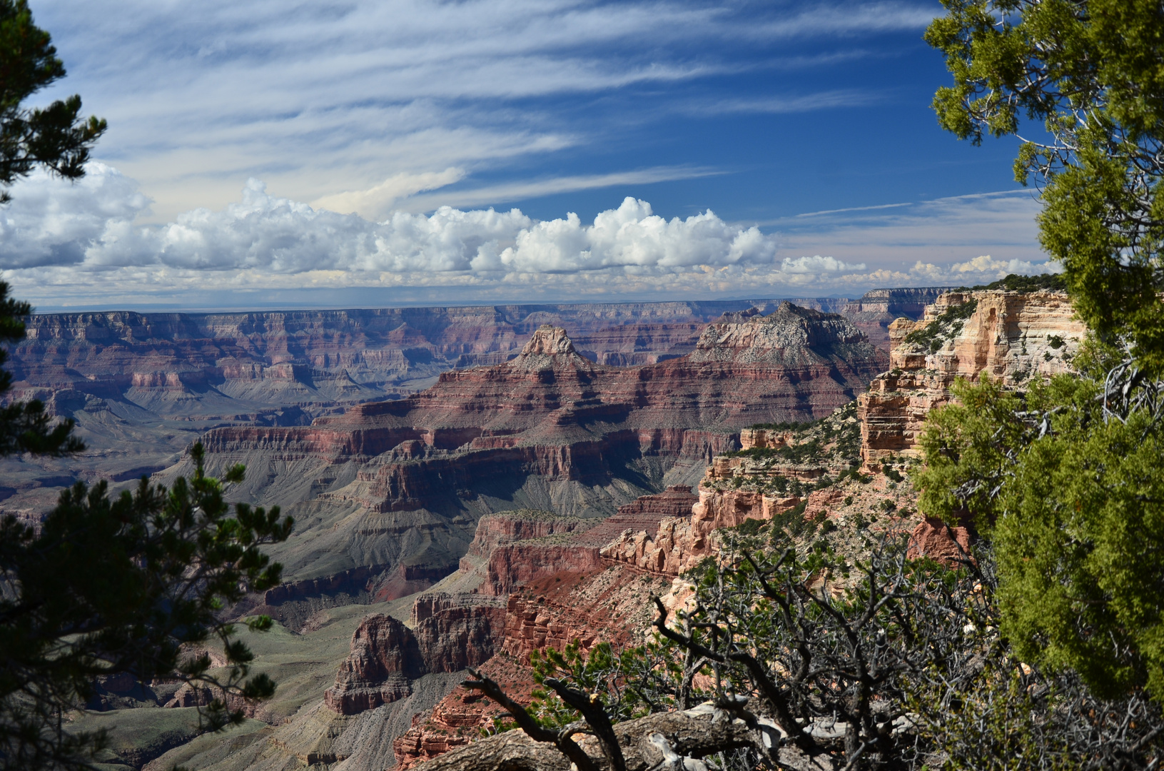 Grand Conyon South Rim