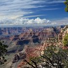 Grand Conyon South Rim