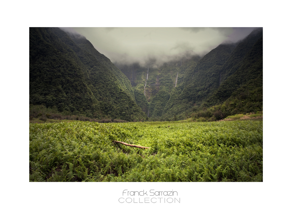 Grand étang, ile de la réunion