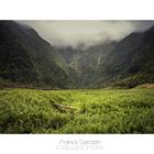 Grand étang, ile de la réunion