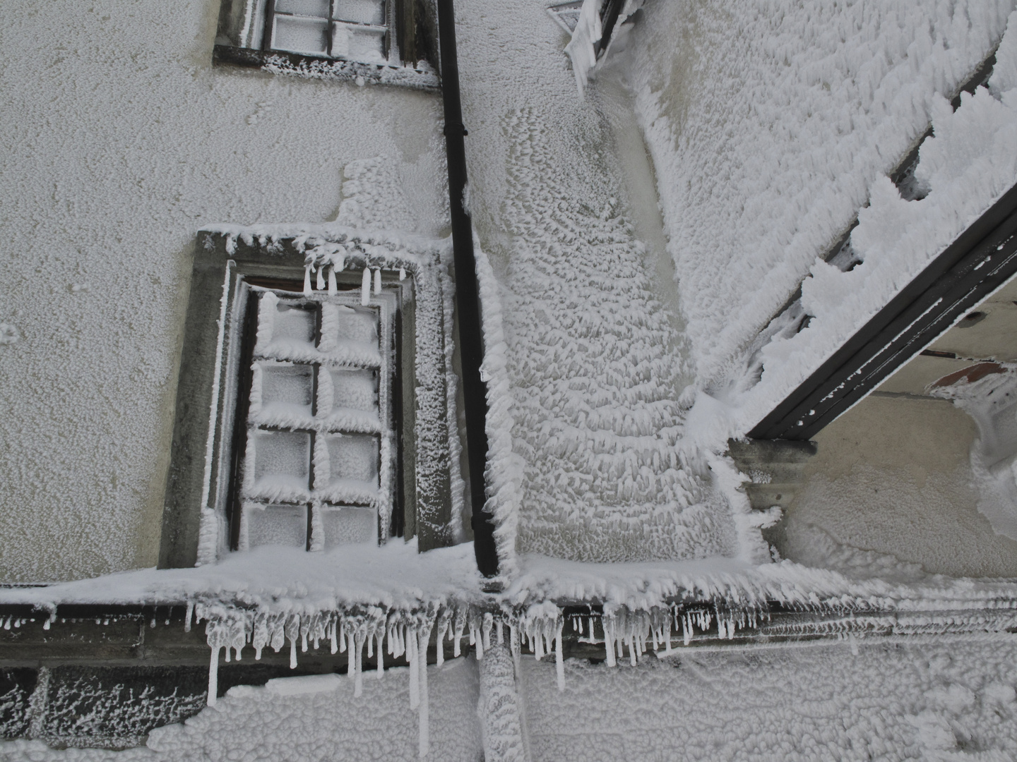 grand froid à l'hospice du st-bernard