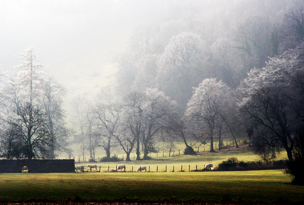 Grand froid dans les Chambarands