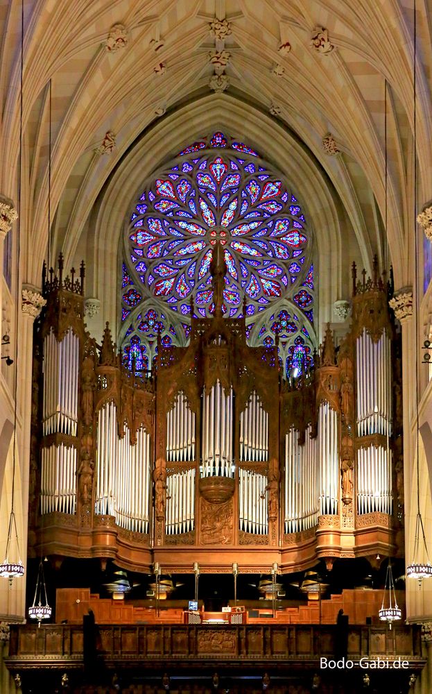 Grand Gallery Organ