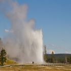 Grand Geysir - Yellowstone N.P.