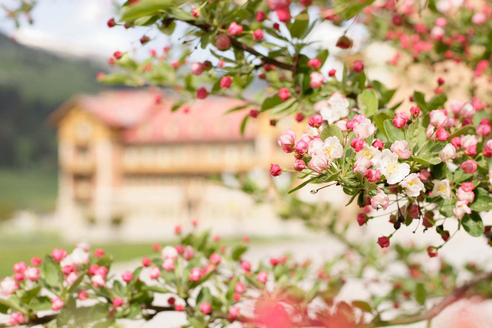 Grand Hotel Toblach - Frühling im Fokus