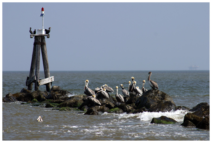 Grand Isle State Park ...