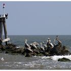 Grand Isle State Park ...