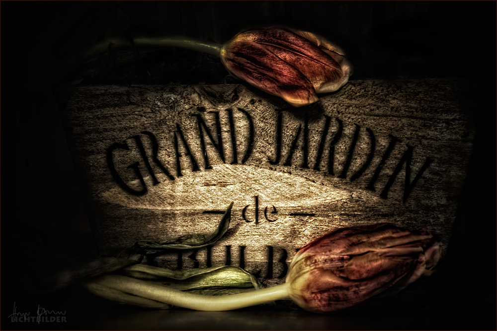 | grand jardin |