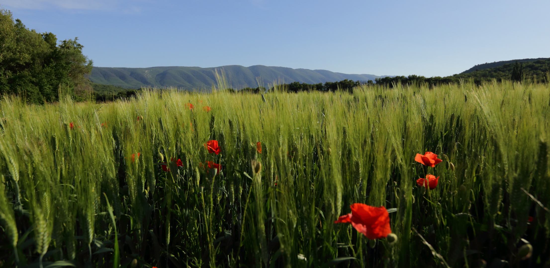 Grand Luberon