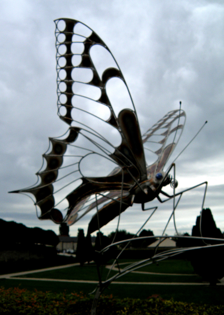 Grand Papillon filiforme dans le ciel du Château de Gilly - Bourgogne... 2