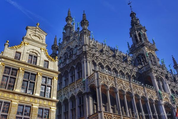 Grand Place Belgica