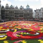 Grand Place - Tapis de fleurs