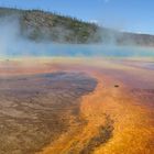 Grand Prismatic Poll im Yellowstone NP