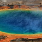 Grand Prismatic Spring