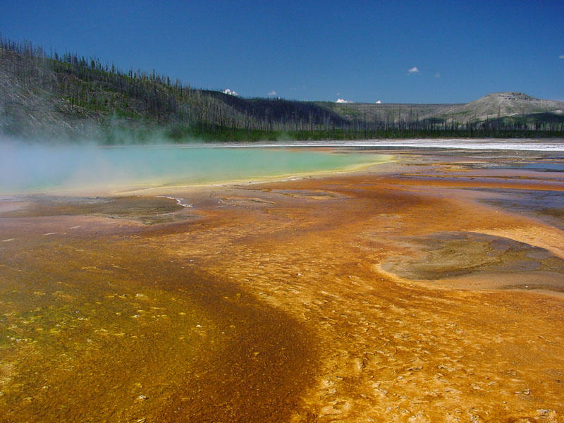 Grand Prismatic Spring